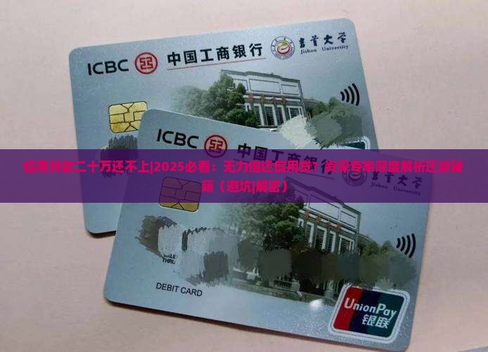 信用贷款二十万还不上