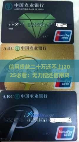信用贷款二十万还不上