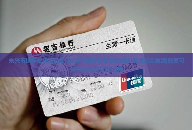 东兴市抵押车贷款公司