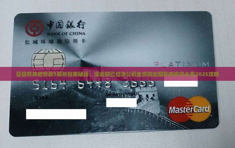 征信有其他贷款3