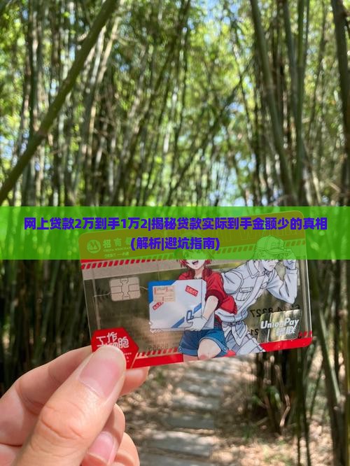 网上贷款2万到手1万2