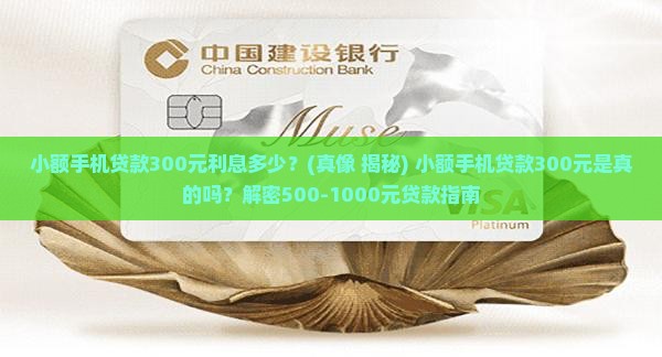 小额手机贷款300元