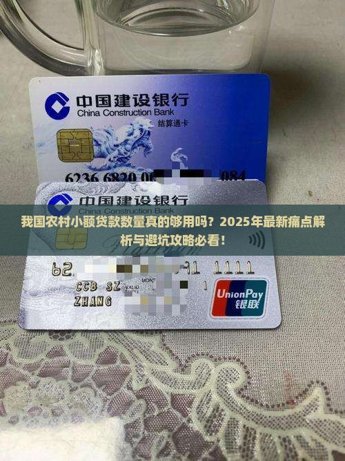 我国农村小额贷款数量