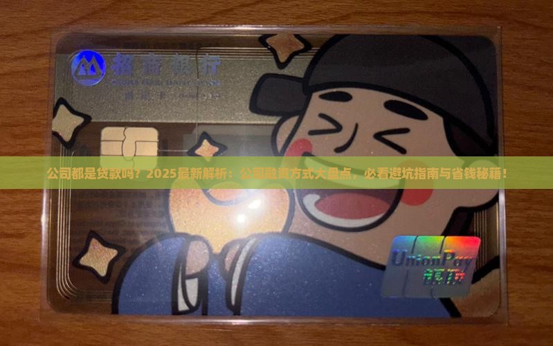 公司都是贷款吗