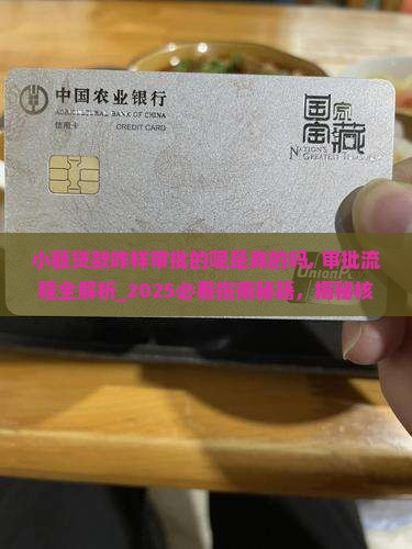 小额贷款咋样审批的呢是真的吗