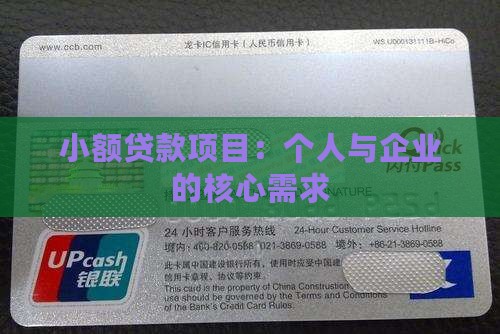 小额贷款的项目