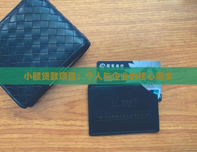 小额贷款的项目