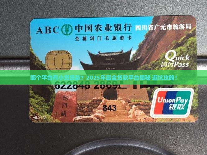 哪个平台有小贷贷款的