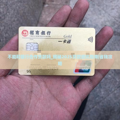 不能和银行合作贷款吗
