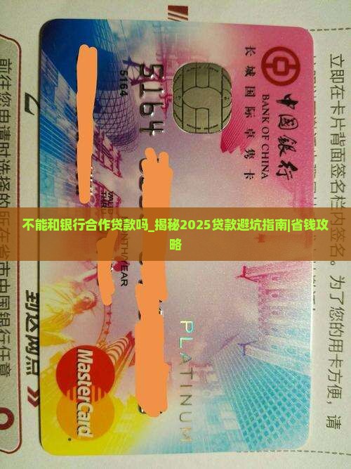 不能和银行合作贷款吗