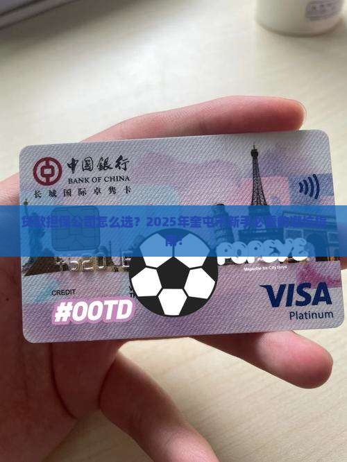 奎屯市贷款担保公司