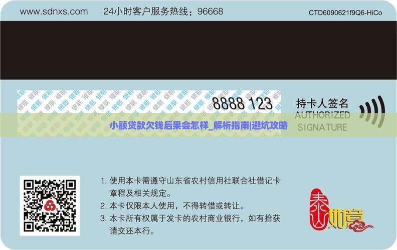 小额贷款欠钱后果会怎样