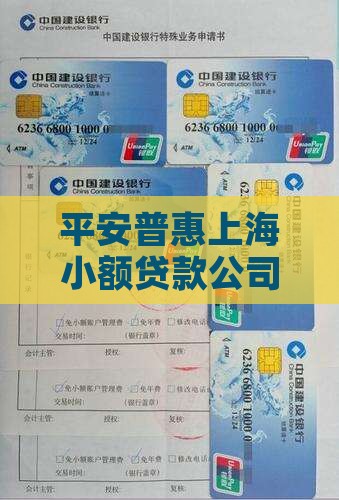 上海市平安惠普小额贷款