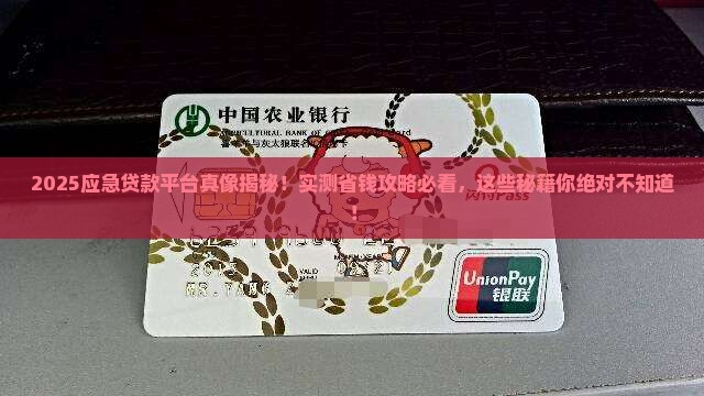 应急贷款平台