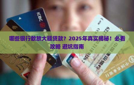 哪些银行有大额贷款