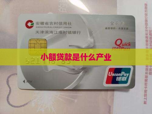小额贷款是什么产业