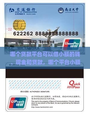 哪个贷款平台可以借小额