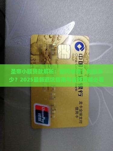 圣帝小额贷款