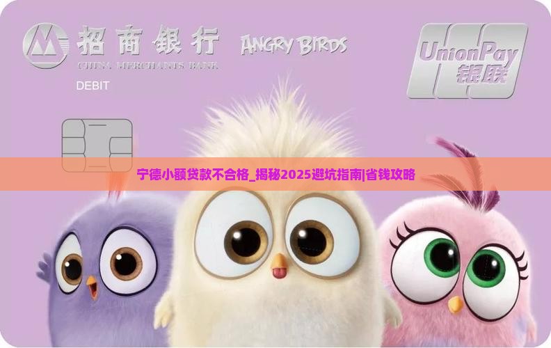宁德小额贷款不合格