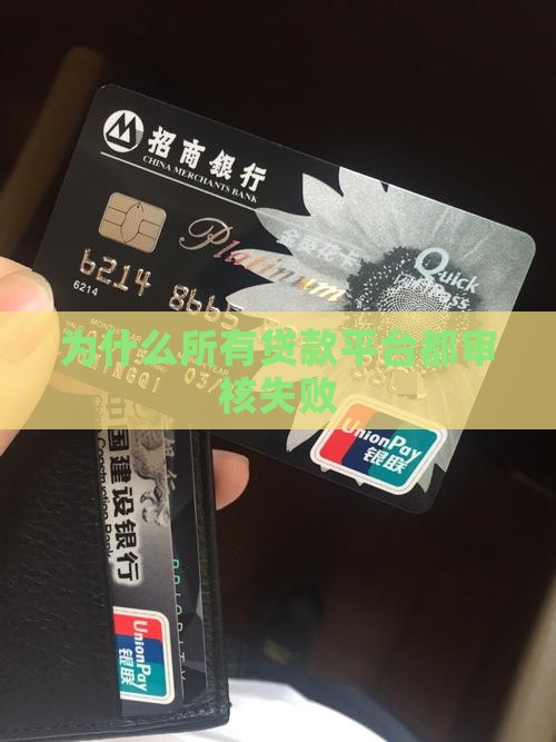为什么所有贷款平台都审核失败