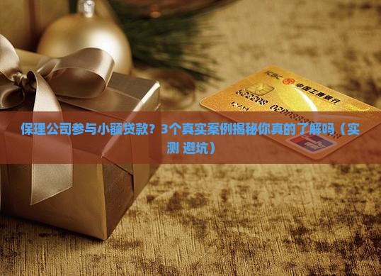 保理公司参与小额贷款