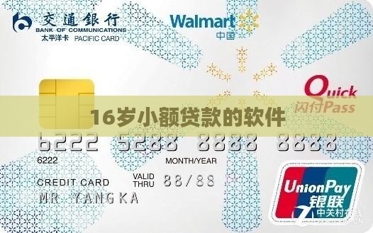 16岁小额贷款的软件