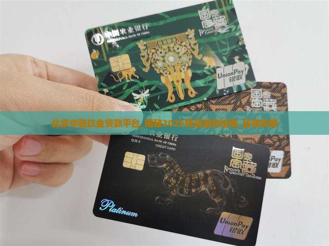 北京中融玖金贷款平台