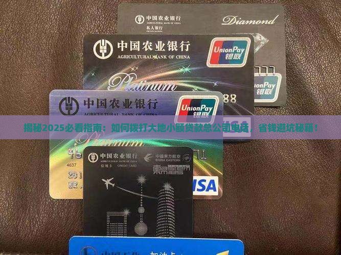 大地小额贷款总公司电话