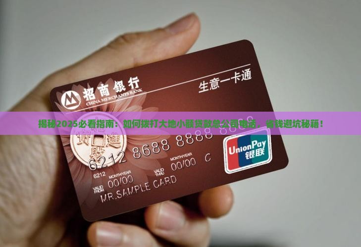 大地小额贷款总公司电话