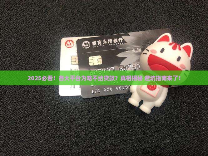 各大平台不给贷款