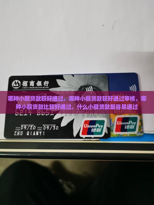 哪种小额贷款较好通过