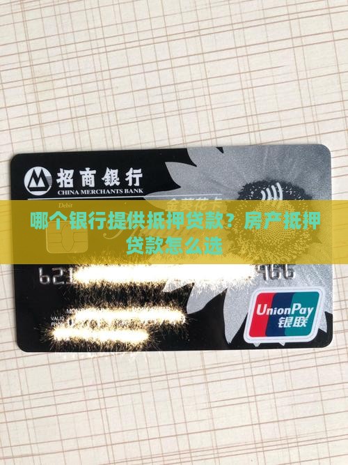 房子哪个银行抵押贷款 房子哪个银行抵押贷款