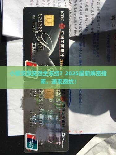 小额贷款全部冻结怎么办