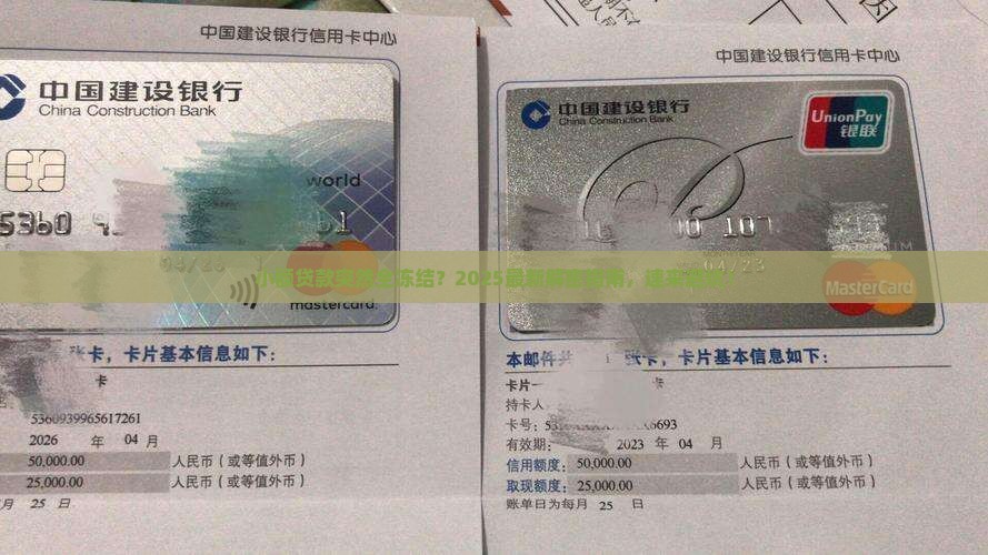 小额贷款全部冻结怎么办