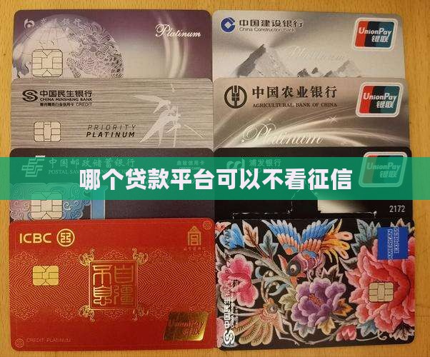 哪个网站贷款不看征信