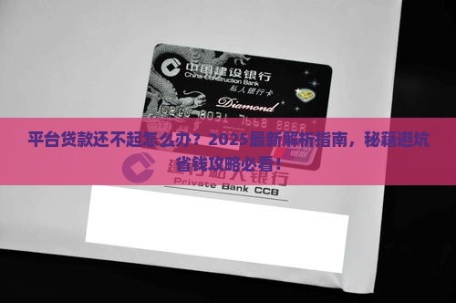平台贷款还不起怎么处理