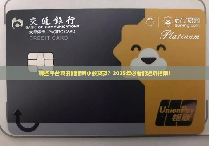 什么平台属于小额贷款