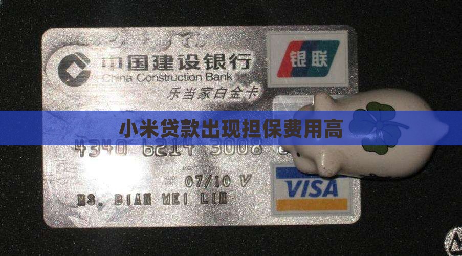 小米贷款出现担保费用高 小米贷款出现担保费用高