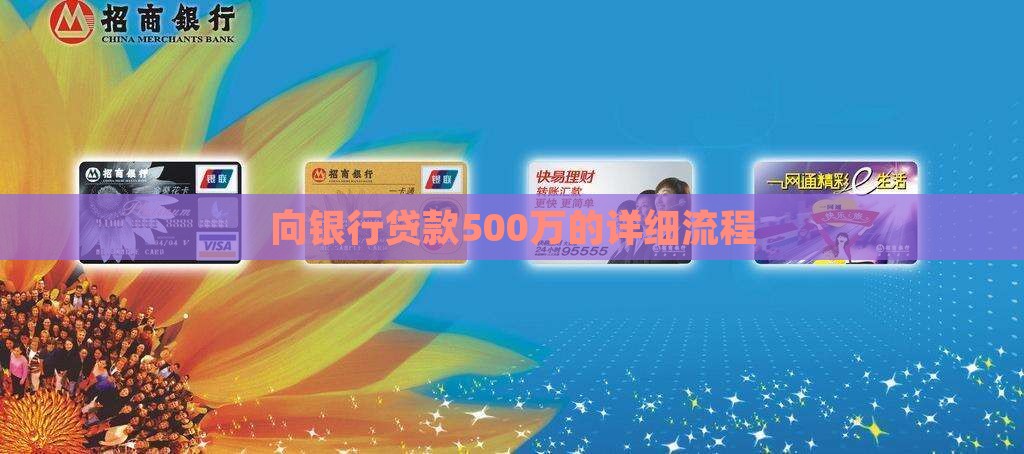 向银行贷款500万