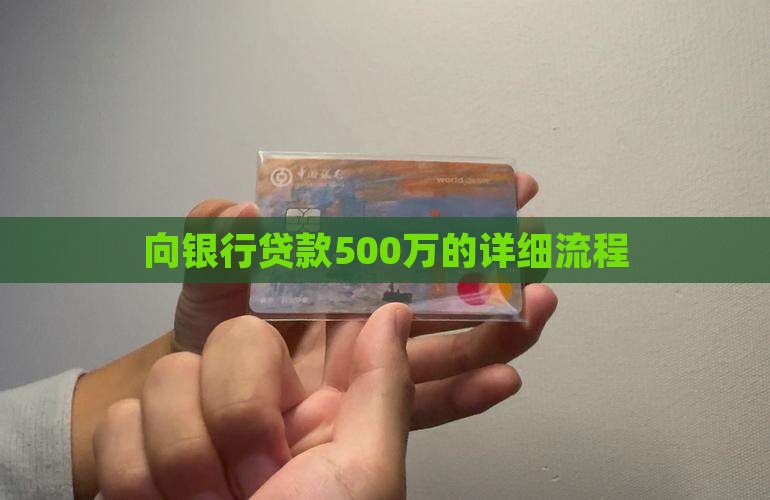 向银行贷款500万
