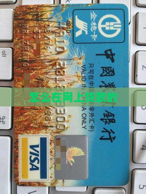怎么在网上贷款的