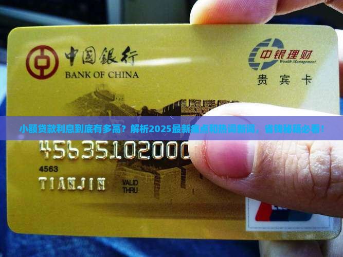 小额贷款贷款利息