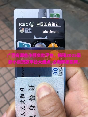 广西有哪些小额贷款平台