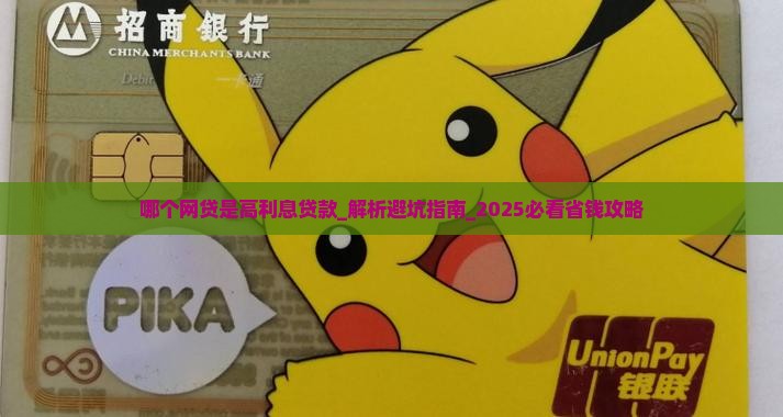 哪个网贷是高利息贷款
