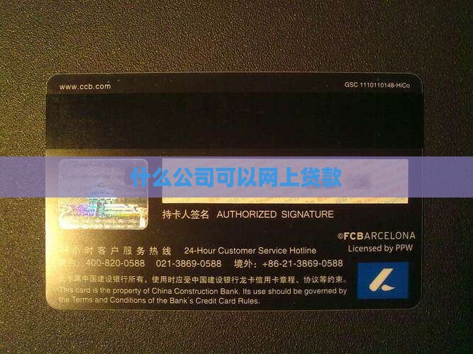 什么公司可以网上贷款