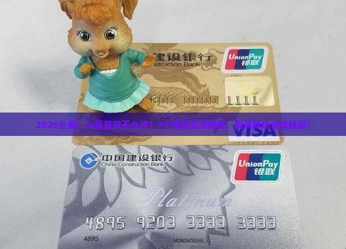 小额贷款不允许