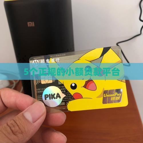 5个正规的小额贷款机构
