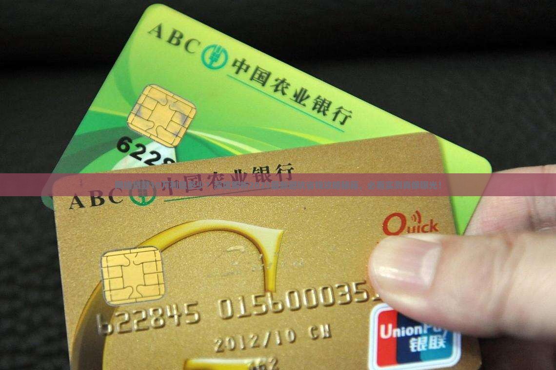 网络贷款10万利息多少