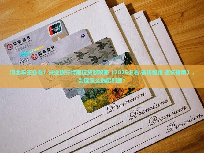 兴业银行特斯拉贷款河北