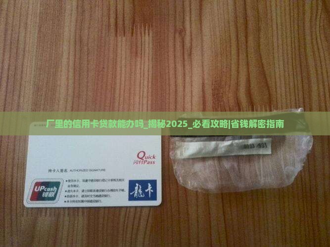 厂里的信用卡贷款能办吗